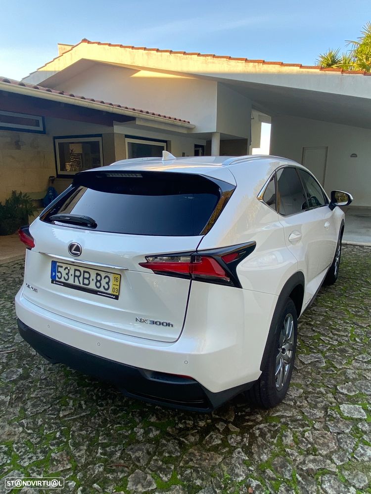 Lexus NX 300h Luxury 4WD - 8