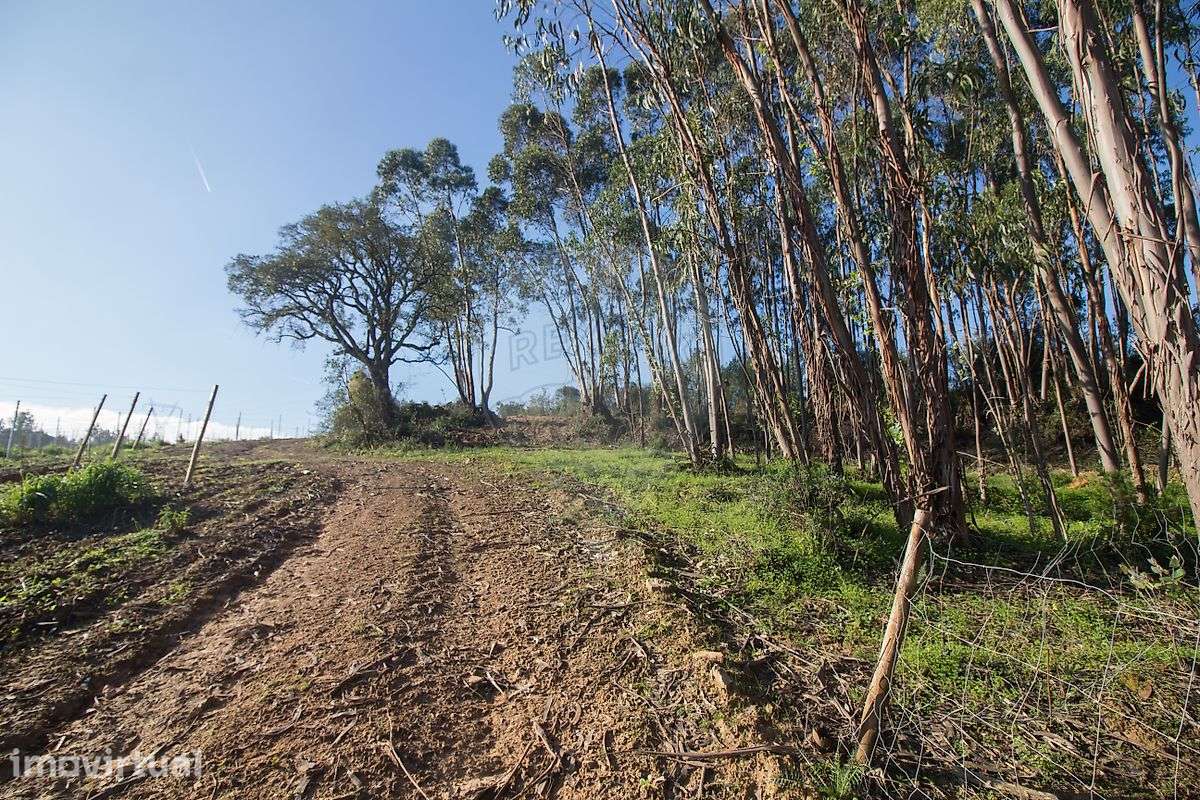 Terreno  para venda - Grande imagem: 5/23