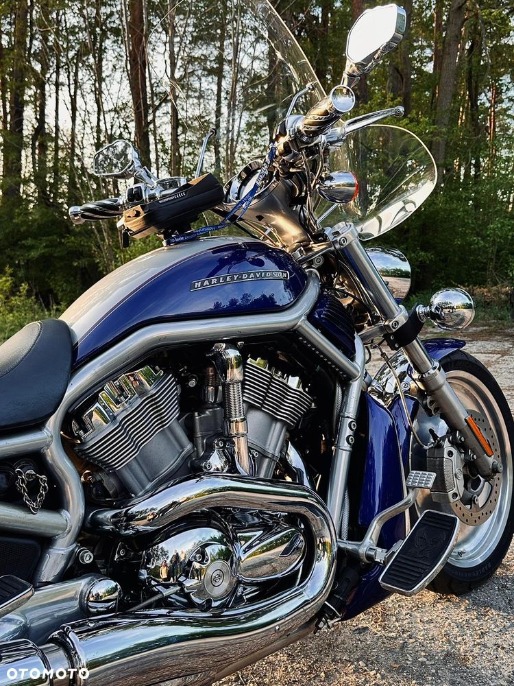 Harley-Davidson V-Rod Street Rod - 2