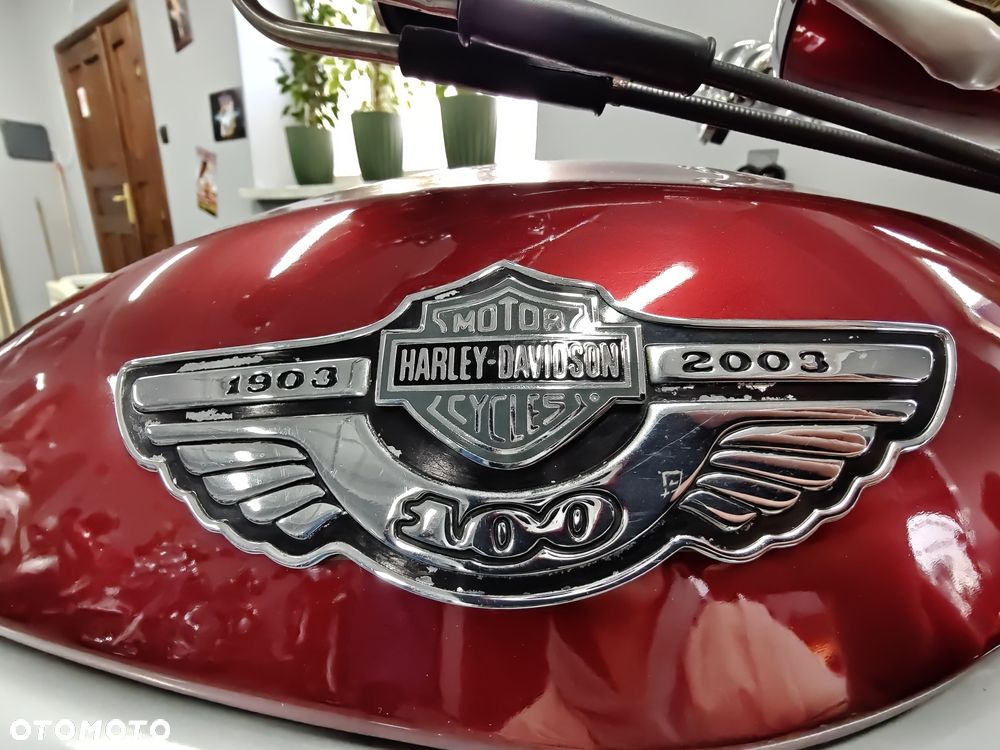 Harley-Davidson Softail V-Rod - 2