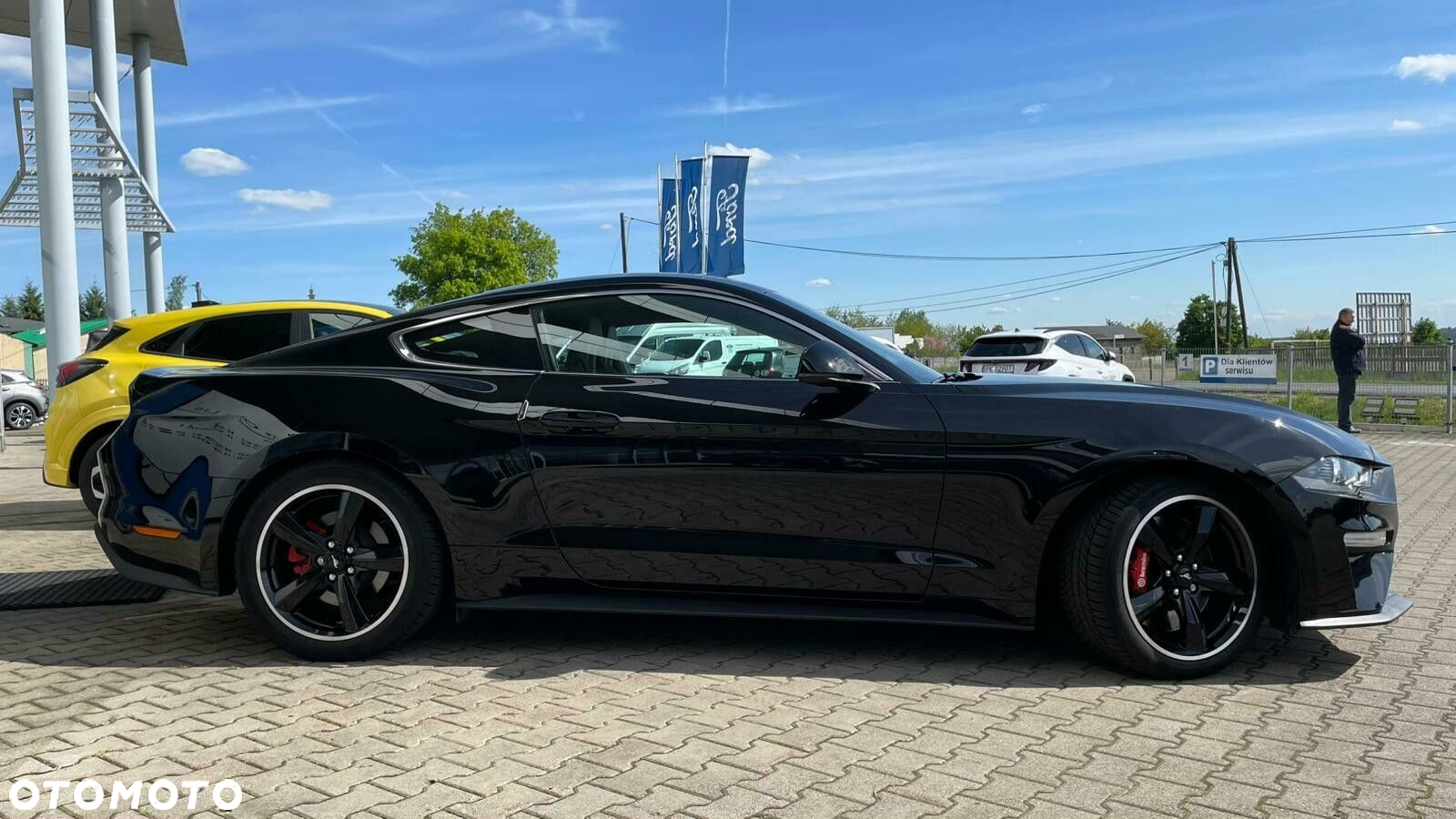 Ford Mustang 5.0 V8 Bullitt - 4