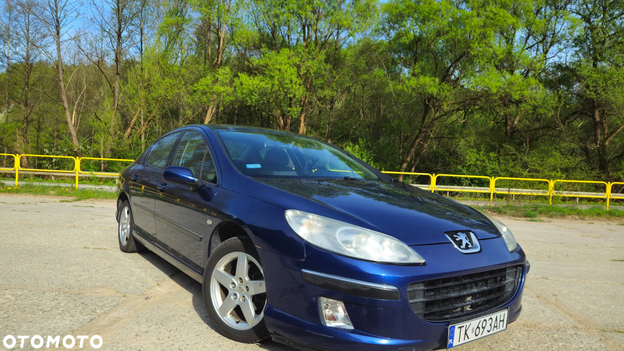 Peugeot 407 2.0 HDI Intense - 20