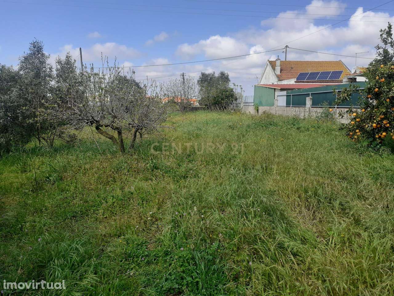 Terreno para Construção – Na Freguesia de Santo Isidro de Pegões | 629 - Grande imagem: 3/5