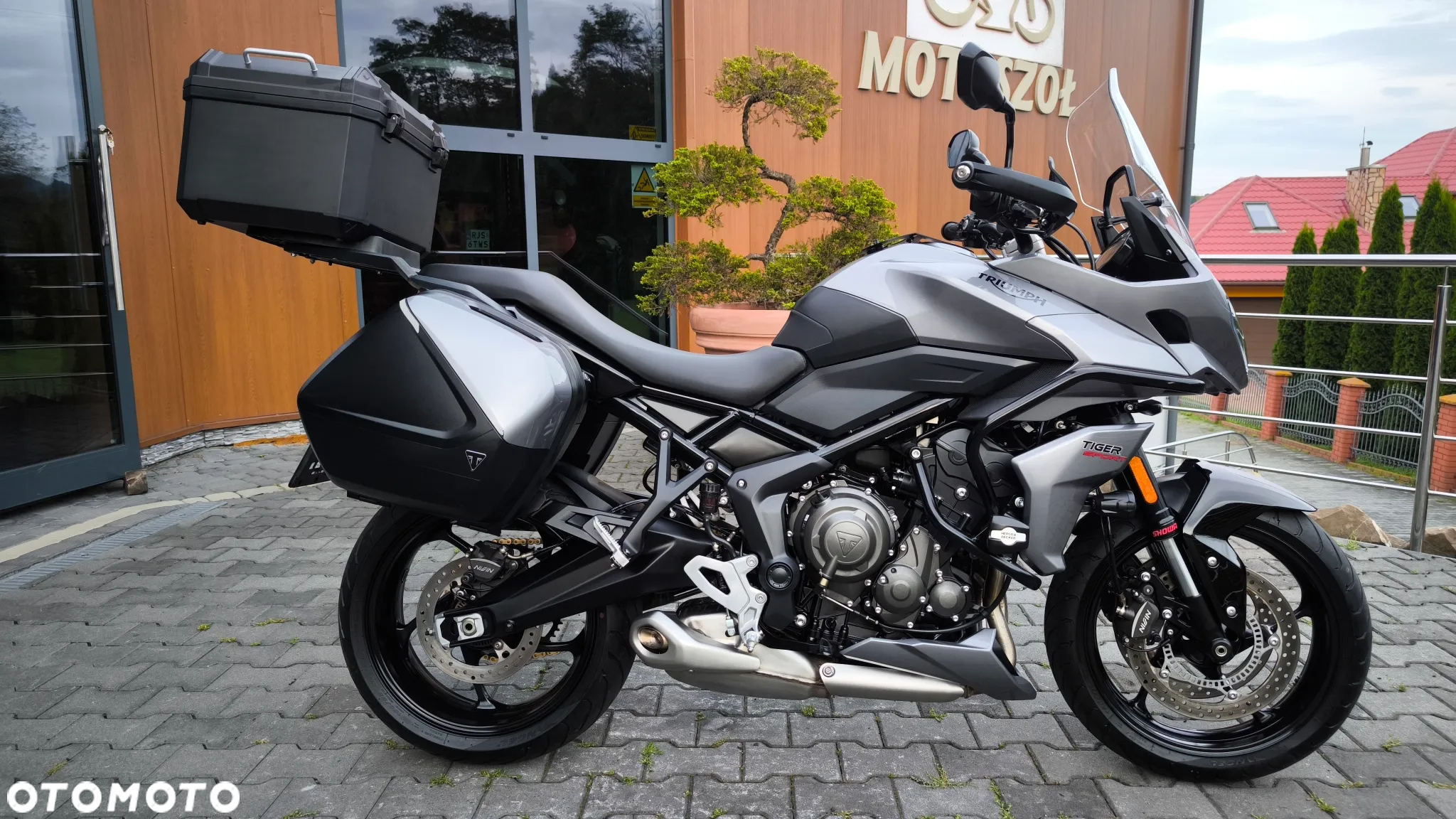 Triumph Tiger - 2