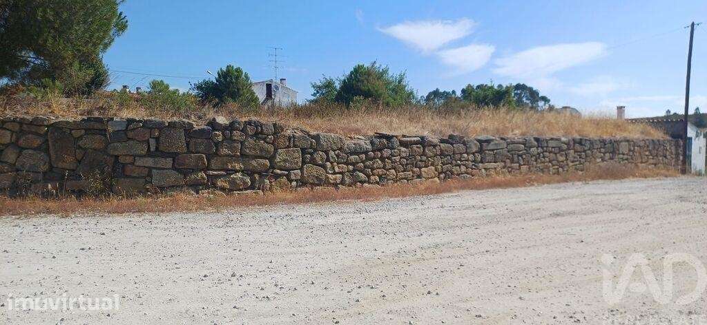 Terreno para construção em Castelo Branco - Grande imagem: 2/10