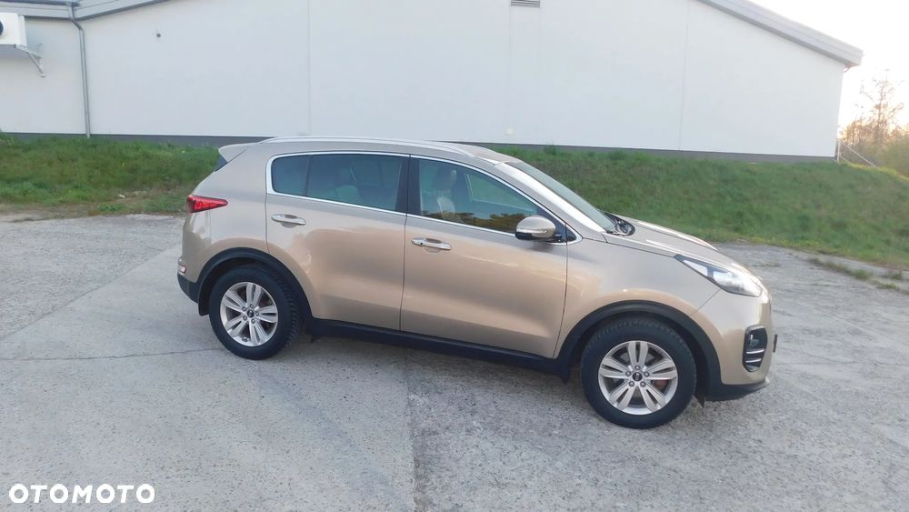 Kia Sportage 1.6 GDI L Business Line Plus 2WD - 12