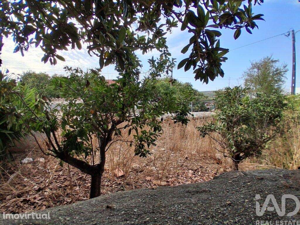 Terreno em Luz de 100,00 m2 - Grande imagem: 3/8
