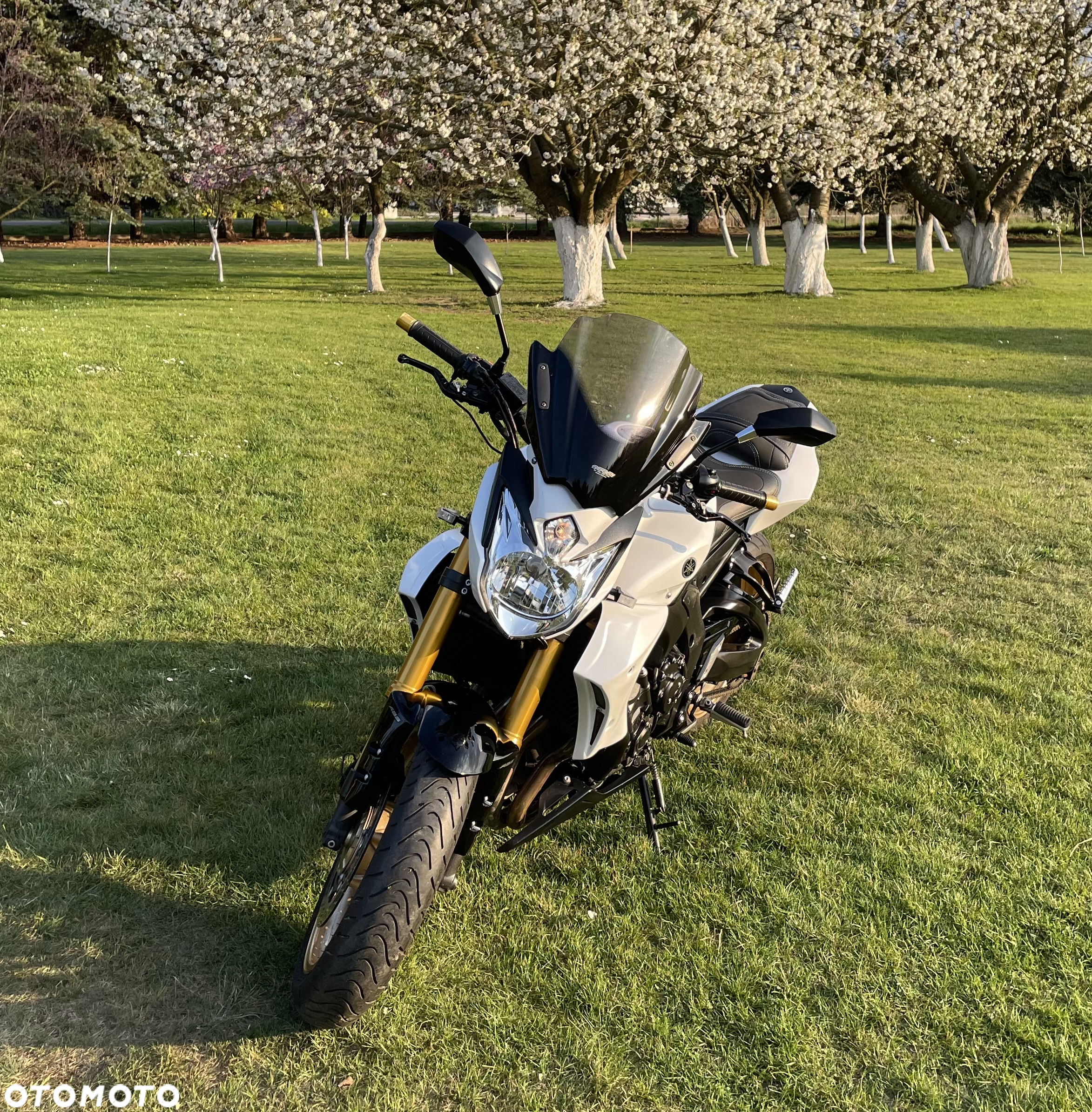 Yamaha FZ8 - 8
