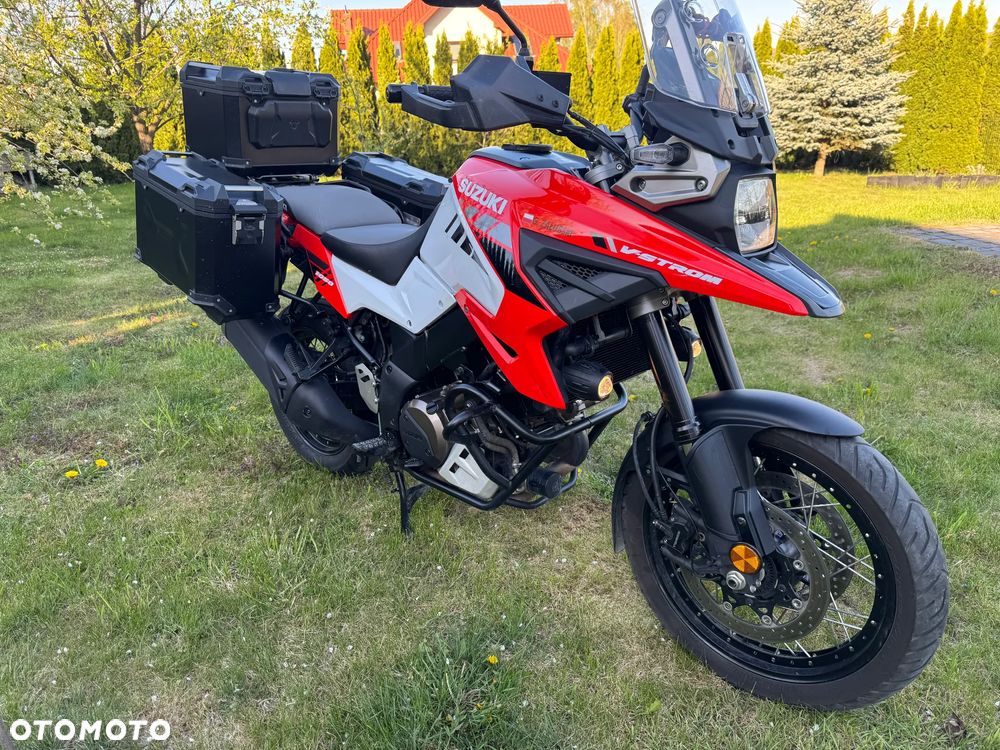 Suzuki DL - 11