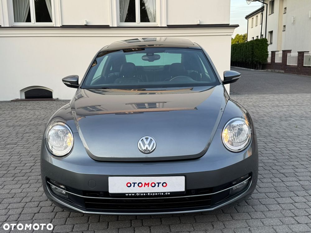 Volkswagen Beetle - 24