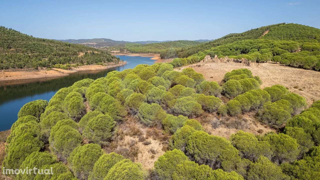 Herdade Torre do Guena - Grande imagem: 2/31
