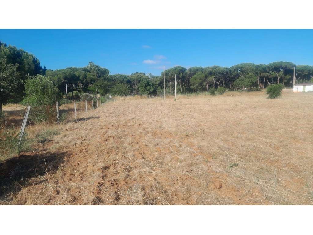 Terreno em Vilamoura, Quarteira, com projecto aprovado para constru... - Grande imagem: 3/26
