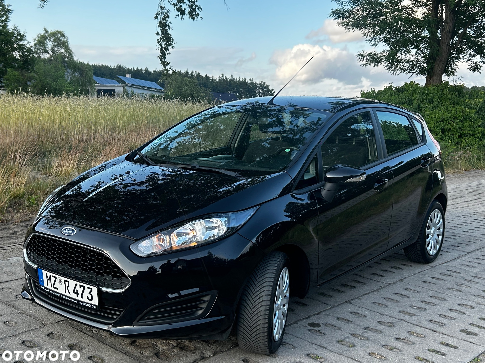 Ford Fiesta 1.25 Celebration - 8