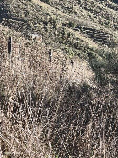 Terreno rústico em Moncorvo - Grande imagem: 4/8