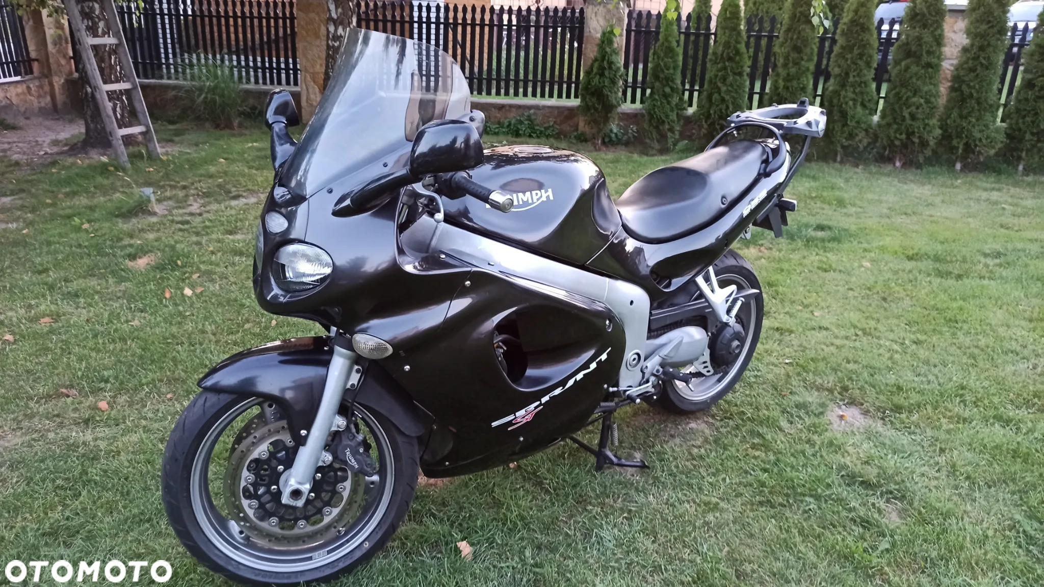Triumph Sprint - 12