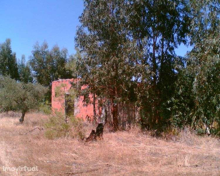 Investimento Seguro/Rentável - Grande imagem: 4/9