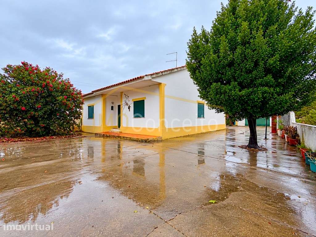 Moradia T3 Térrea em Lote TOTALMENTE URBANO de 3.566 m² - Entroncam... - Grande imagem: 2/35