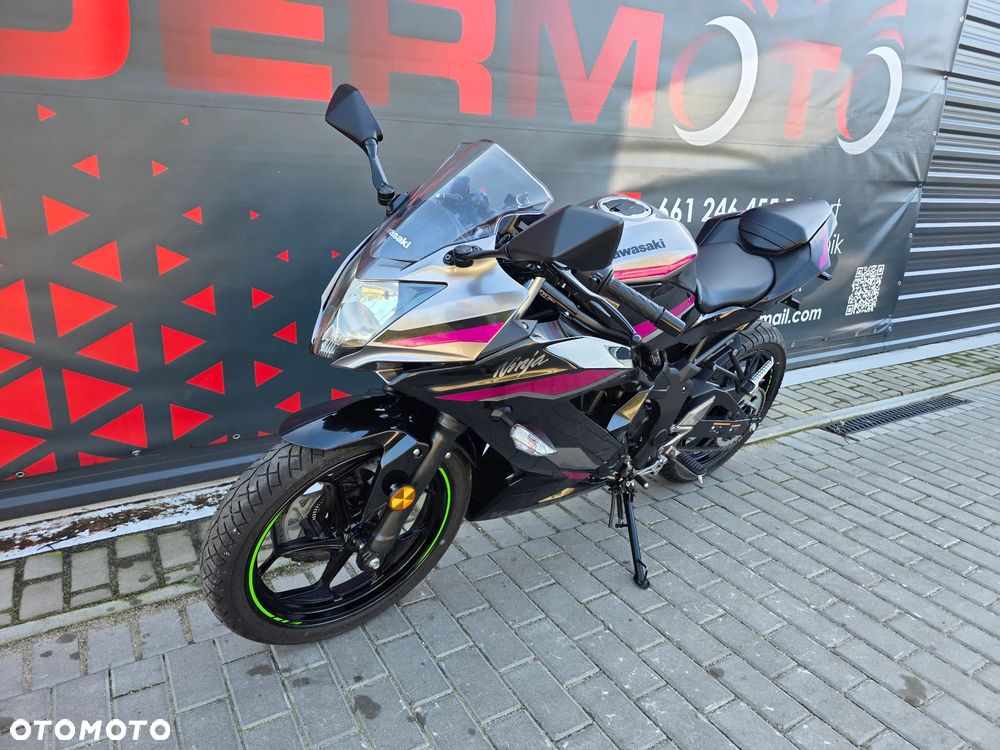 Kawasaki Ninja - 31