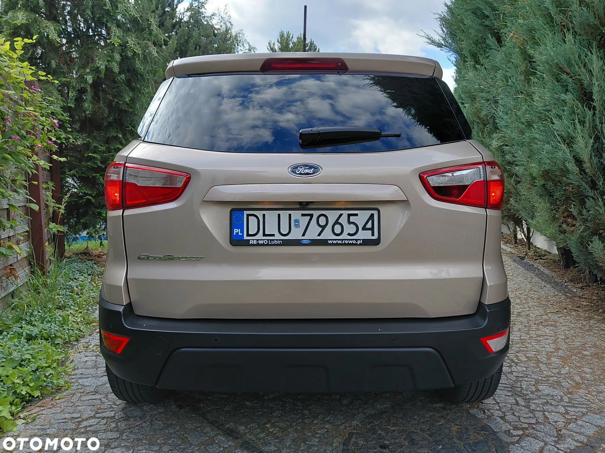 Ford EcoSport 1.0 EcoBoost GPF Titanium ASS - 22