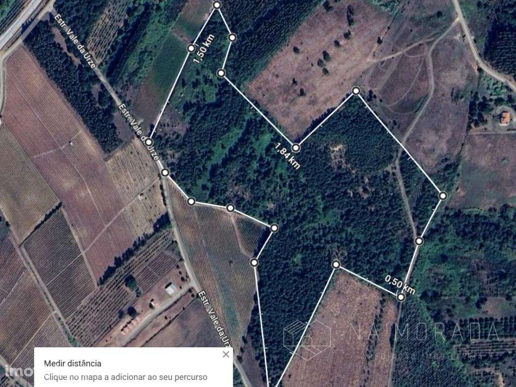 Terreno Rústico de 10 hectares nas Barreiras, Bombarral - Grande imagem: 4/29