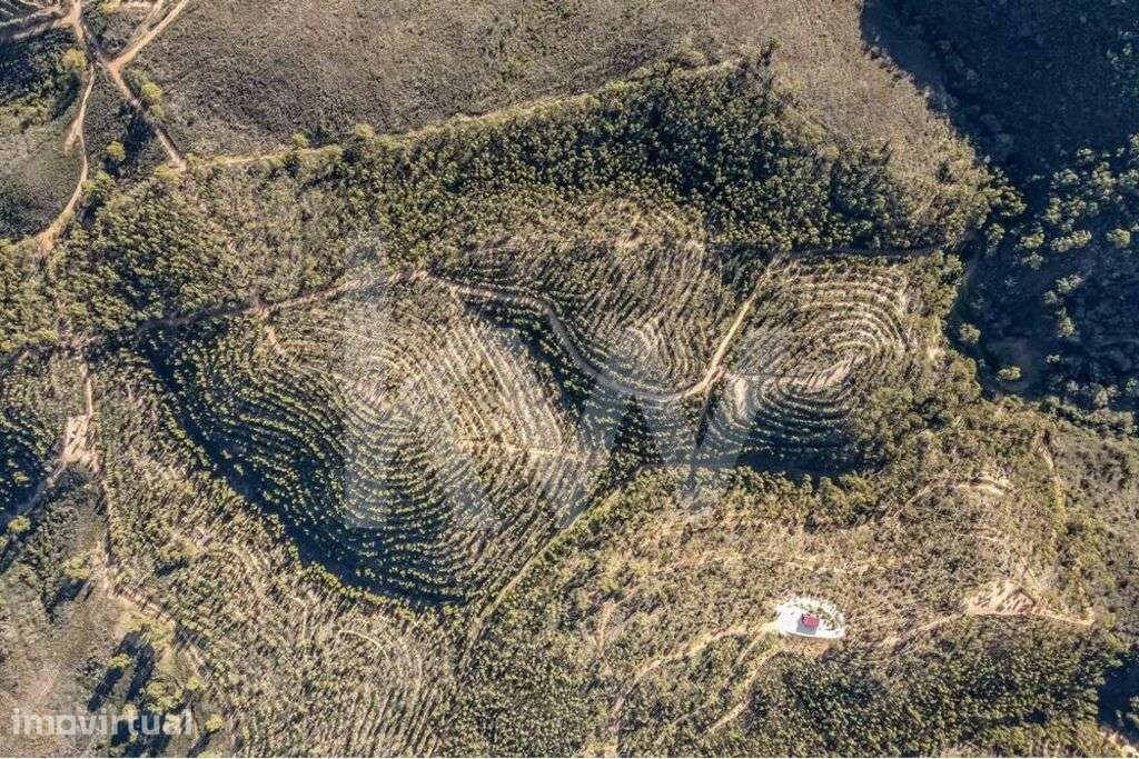 Terreno Rústico com 128 875 m2 em Aljezur - Grande imagem: 3/17