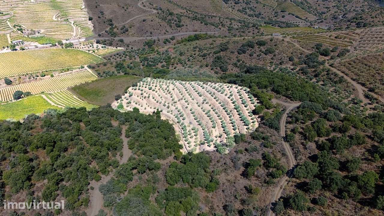 Terreno  para venda - Grande imagem: 3/13