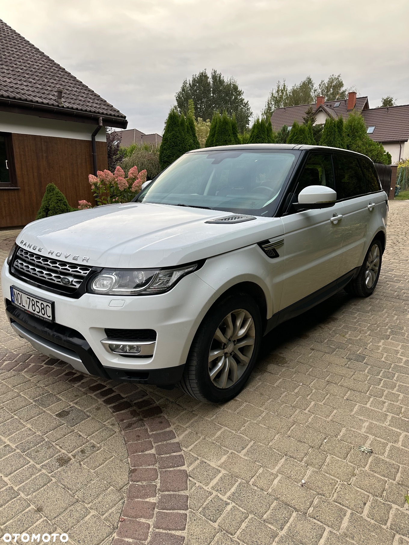 Land Rover Range Rover Sport S 3.0 TD V6 HSE - 3