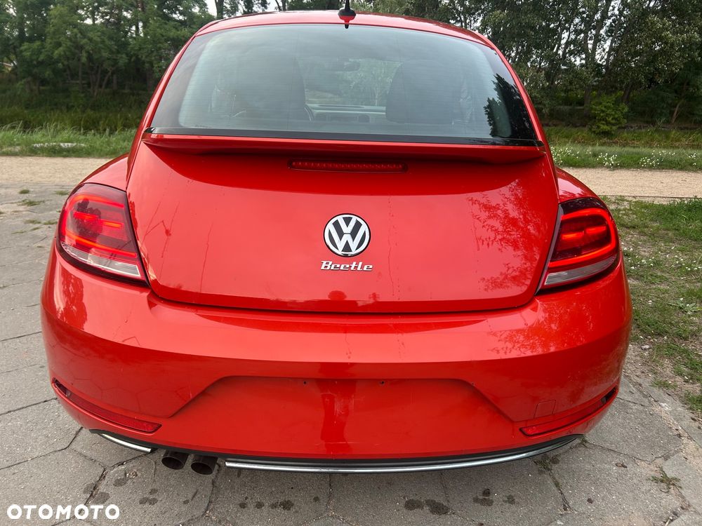 Volkswagen Beetle - 37