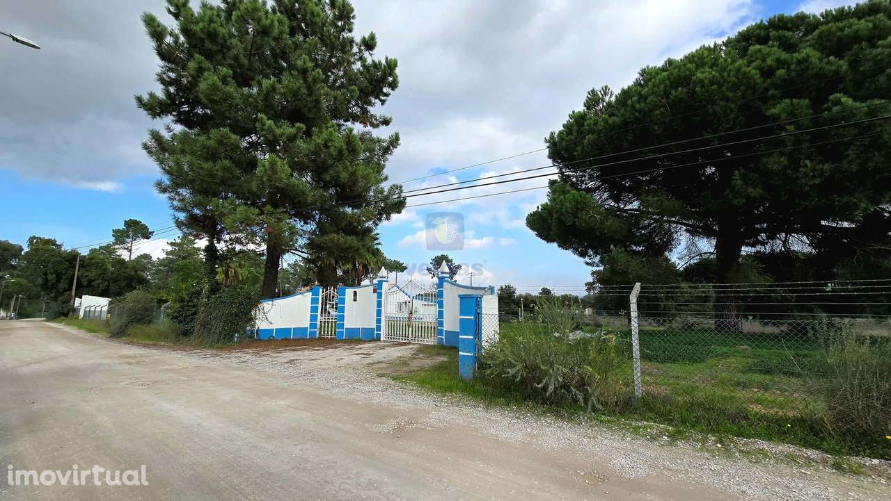 Quinta T4 com terreno de perto de 3 Ha perto da serra da Arrábida - Grande imagem: 3/5