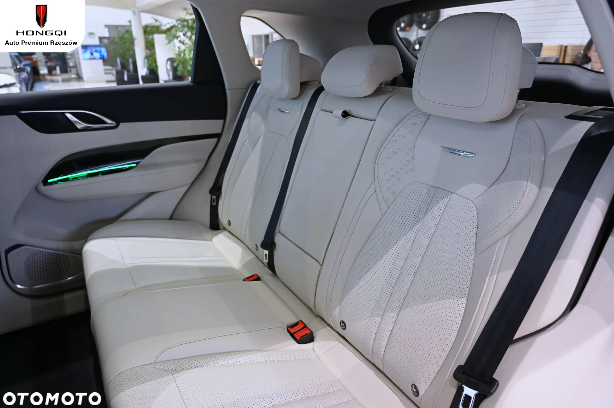 Hongqi HS3 - 19
