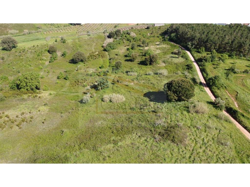 Conjunto de Terrenos Rustico - Grande imagem: 2/17