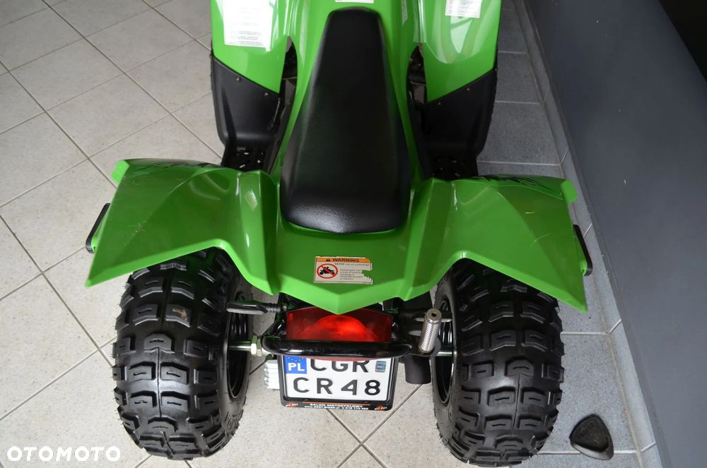 Arctic Cat Inny - 25