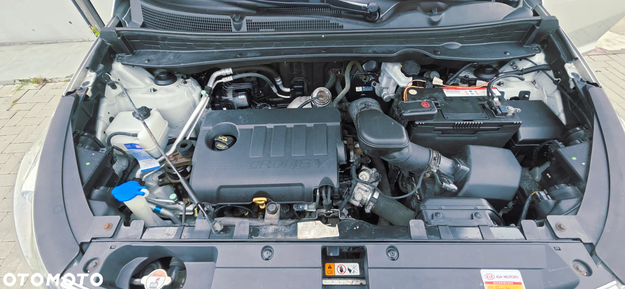 Kia Sportage - 40