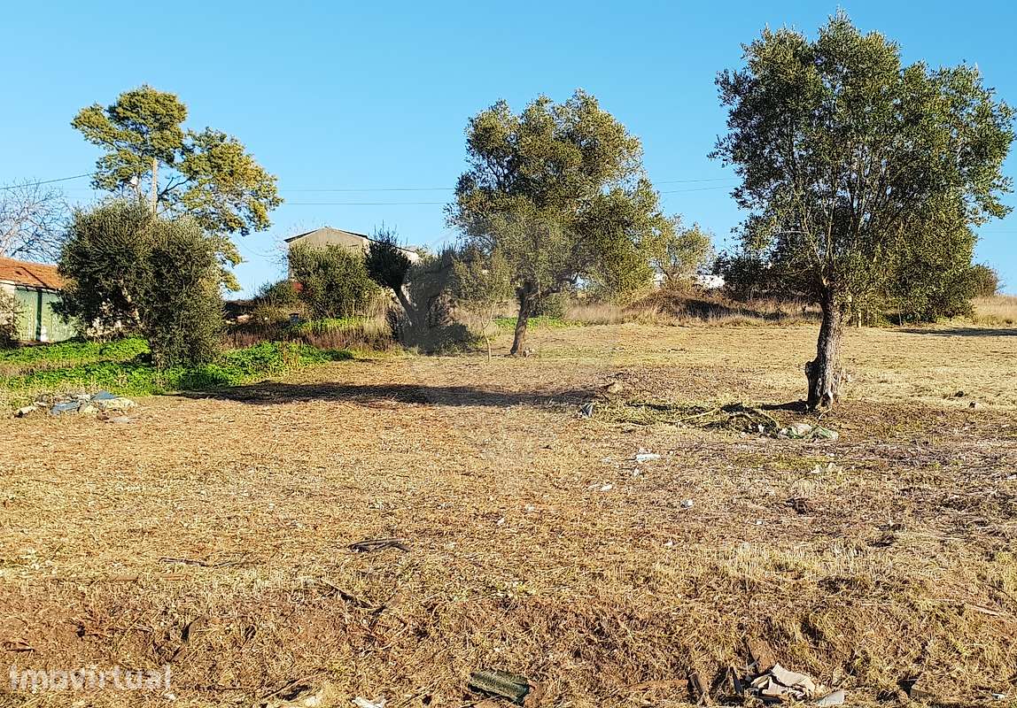 Terreno  para venda - Grande imagem: 3/4