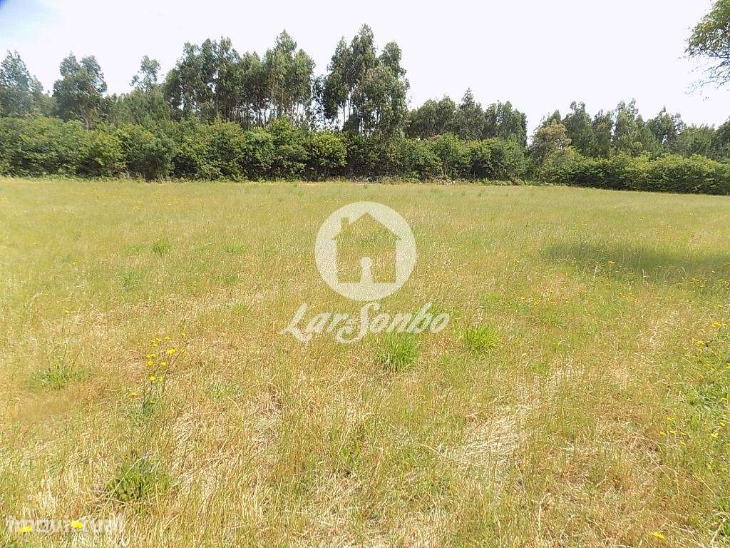 Terreno Misto c/ 92.000 m2 - Argivai - Grande imagem: 3/10