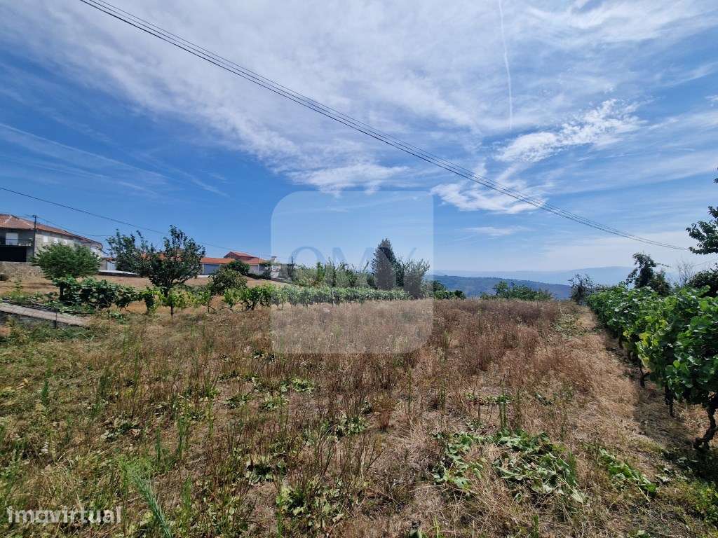 Terreno plano de 830 m² em Abaças, Vila Real - Grande imagem: 3/9