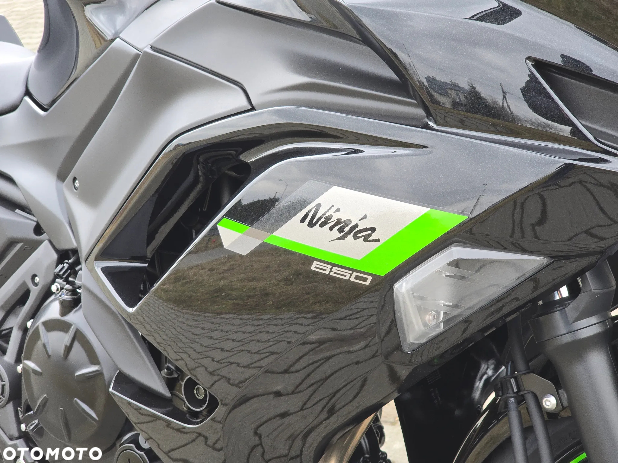 Kawasaki Ninja - 10