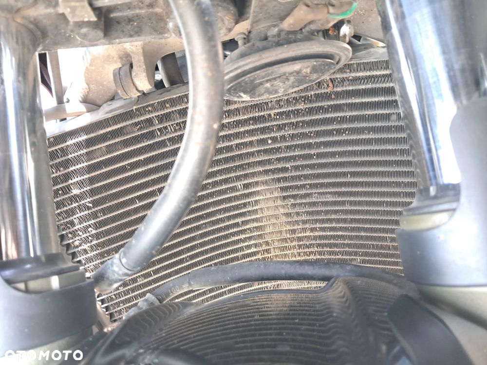 Honda CBR - 14