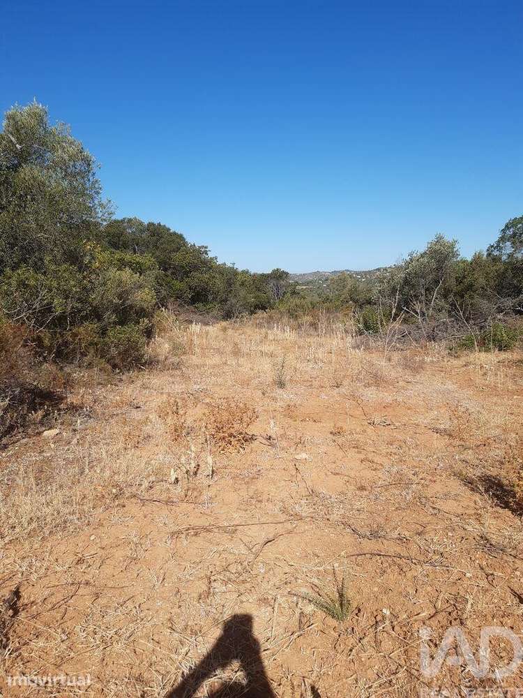 Terreno Agrícola em Paderne - Grande imagem: 5/9