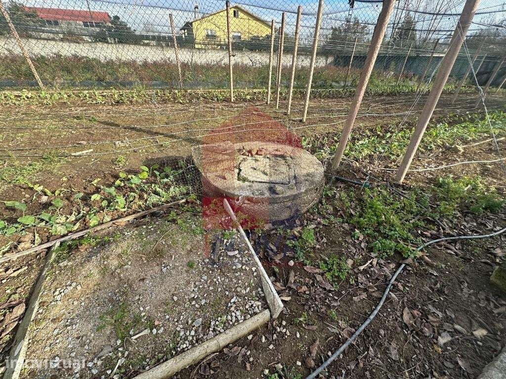 Terreno com plantação, Turiz - Grande imagem: 5/27