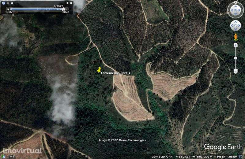 Terreno florestal de 3,7 ha :  Perais - Vila Velha de Rodão - Grande imagem: 4/4