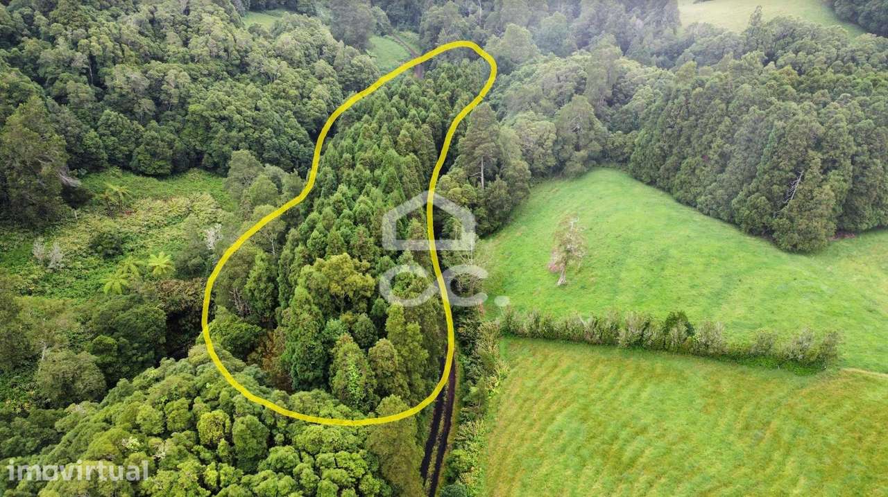 Terreno com 2.090,00 m2 - Santo António Nordestinho - Nordeste - Grande imagem: 3/8