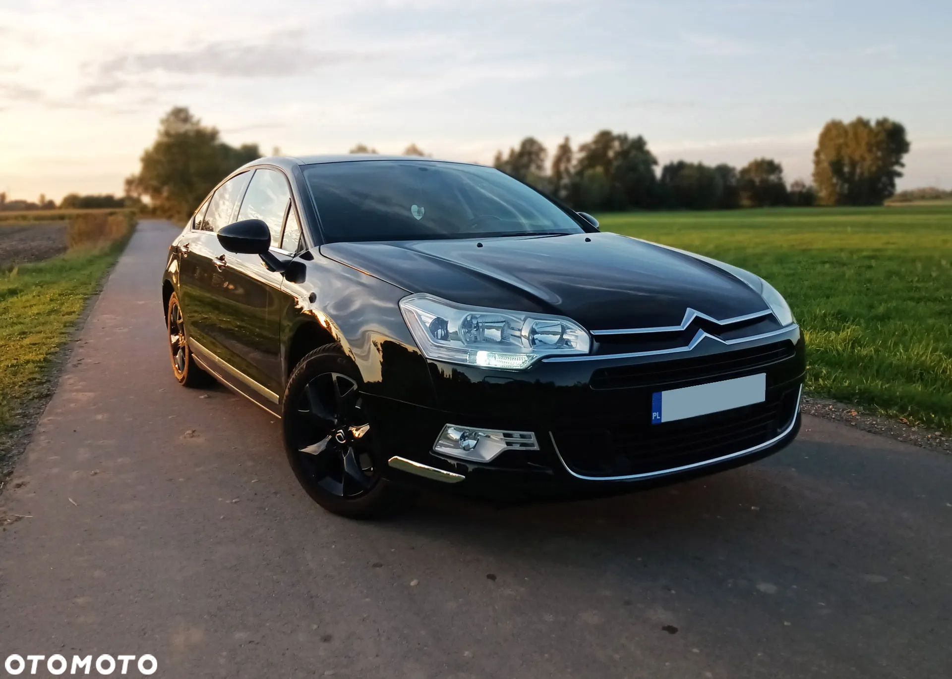 Citroën C5 2.0i 16V Confort - 1