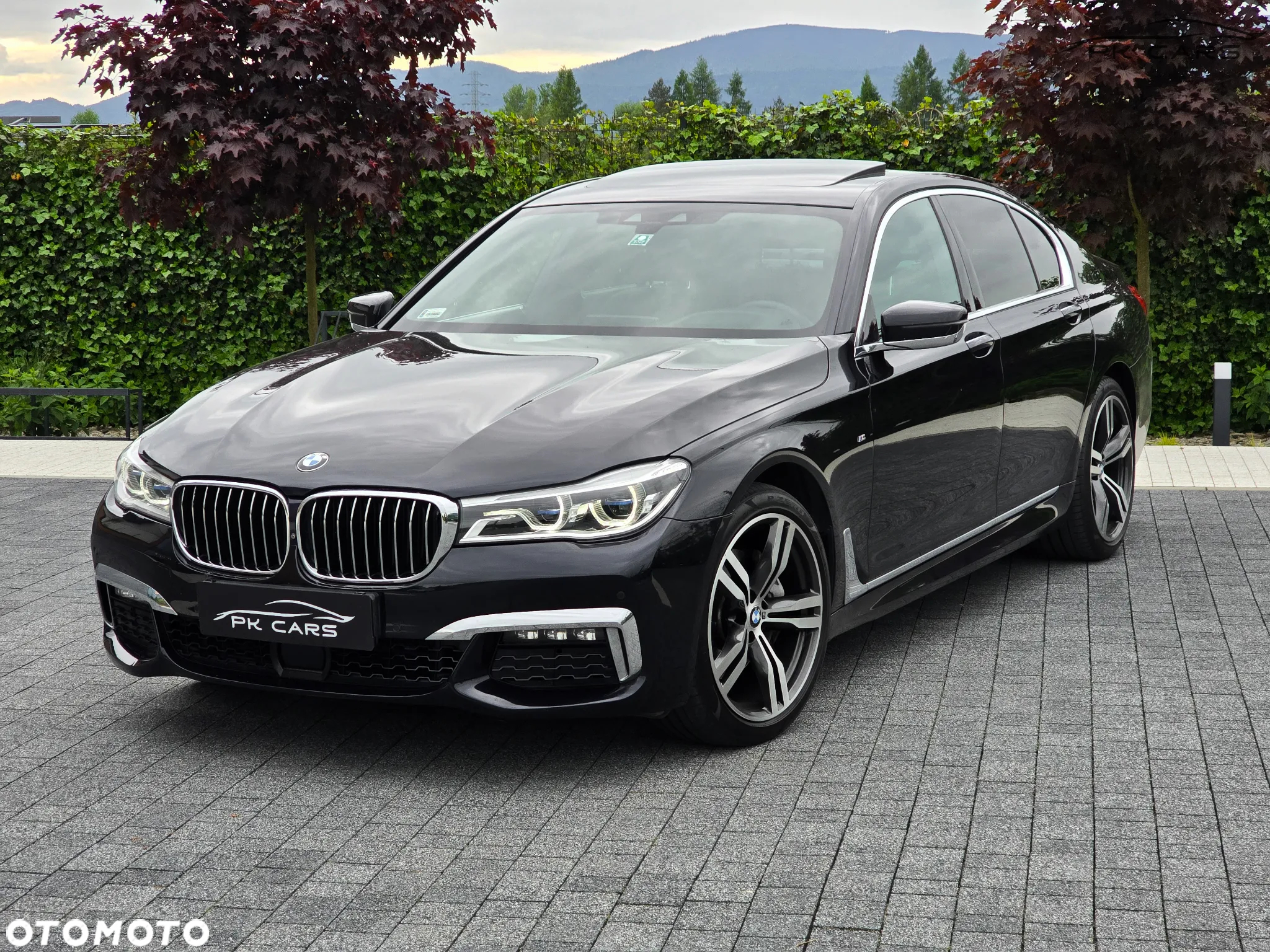 BMW Seria 7 730d xDrive - 2