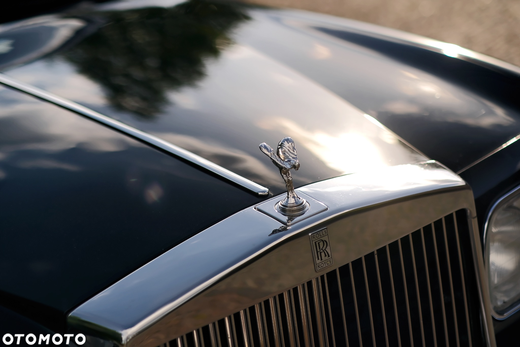 Rolls-Royce Silver Seraph - 11