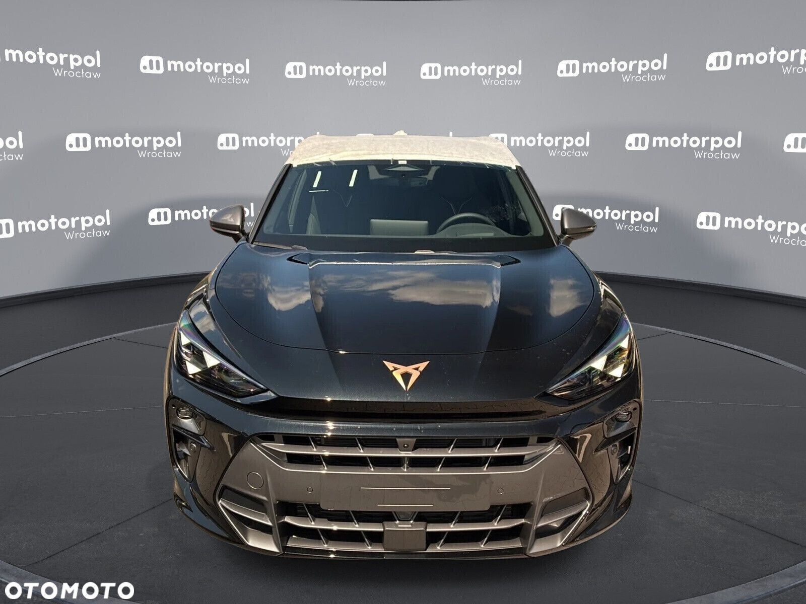 Cupra Terramar - 2