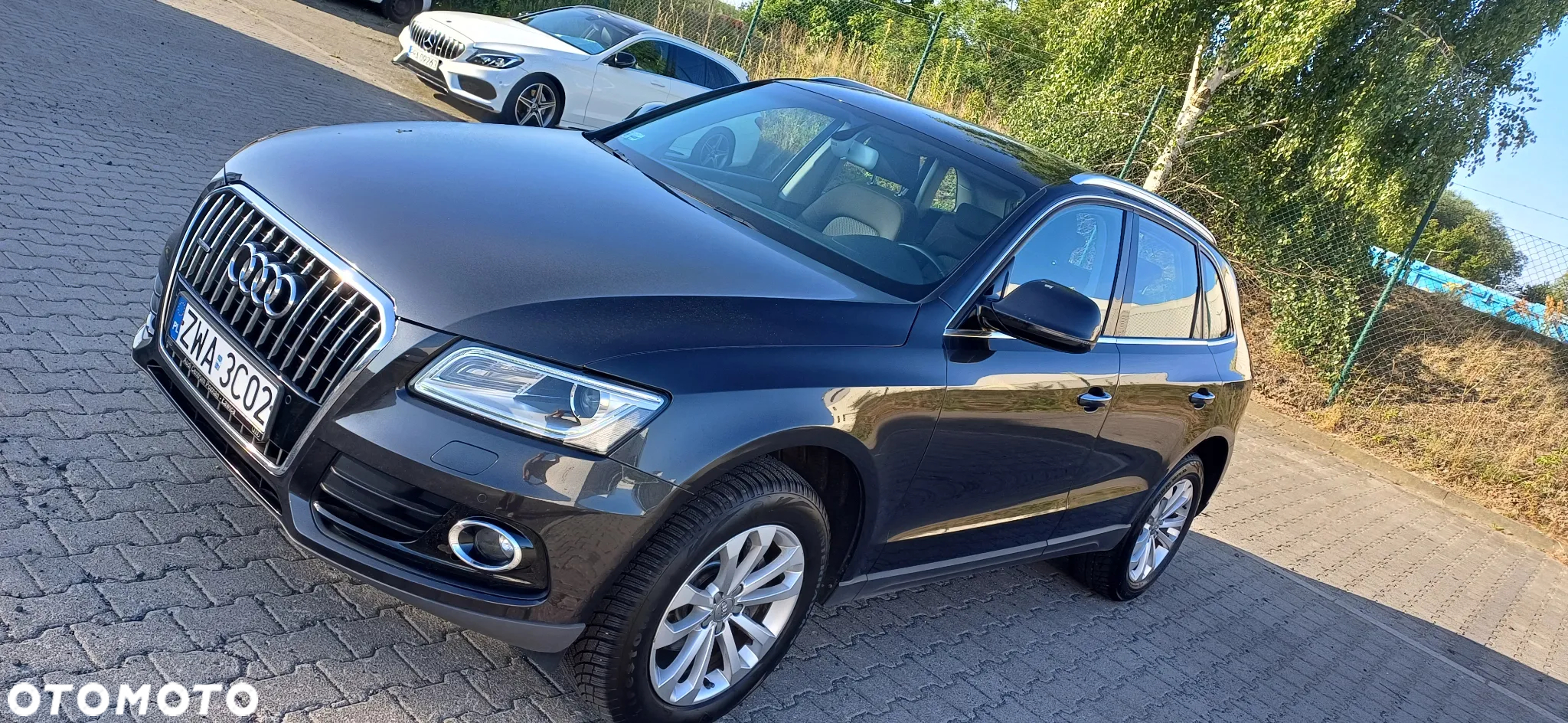 Audi Q5 - 19