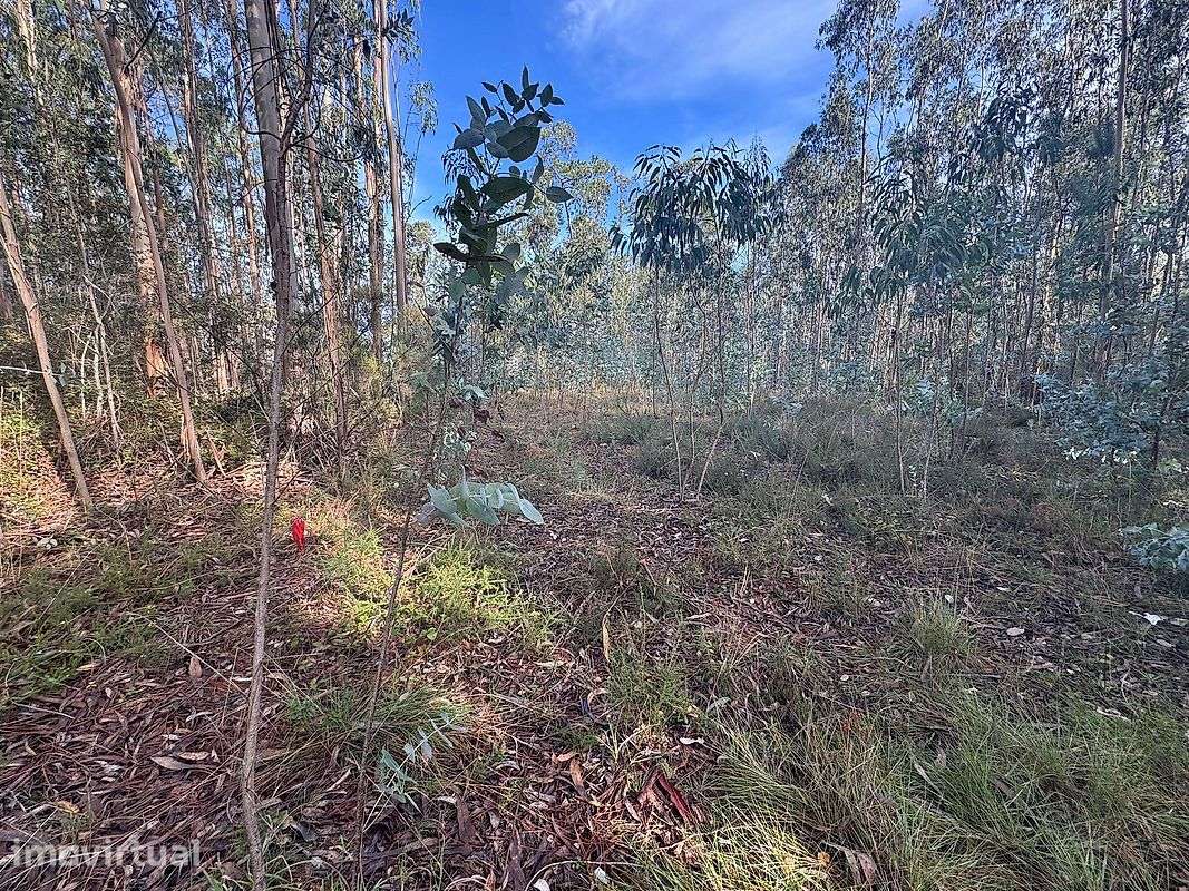 Terreno  para venda - Grande imagem: 2/4