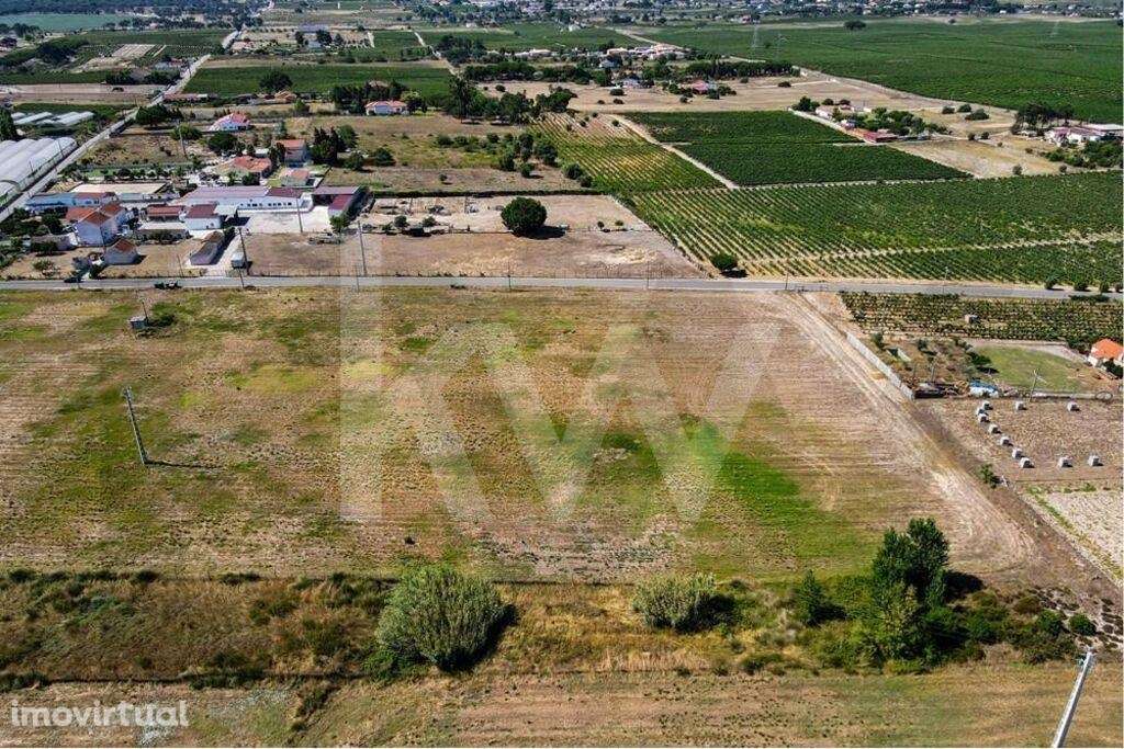 Terreno RÚSTICO c/ 1,86ha | Cajados - Palmela - Grande imagem: 2/12