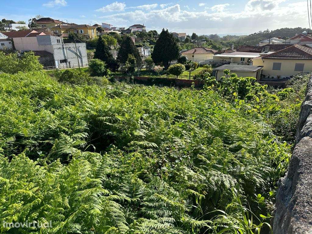 Terreno na Madalena - Grande imagem: 4/8